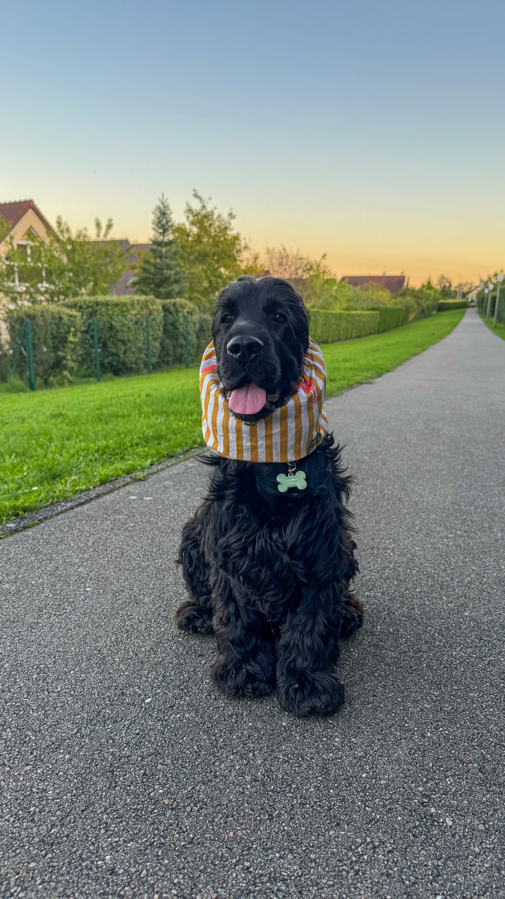 Snood en coton spritz time