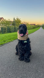 Snood en coton spritz time