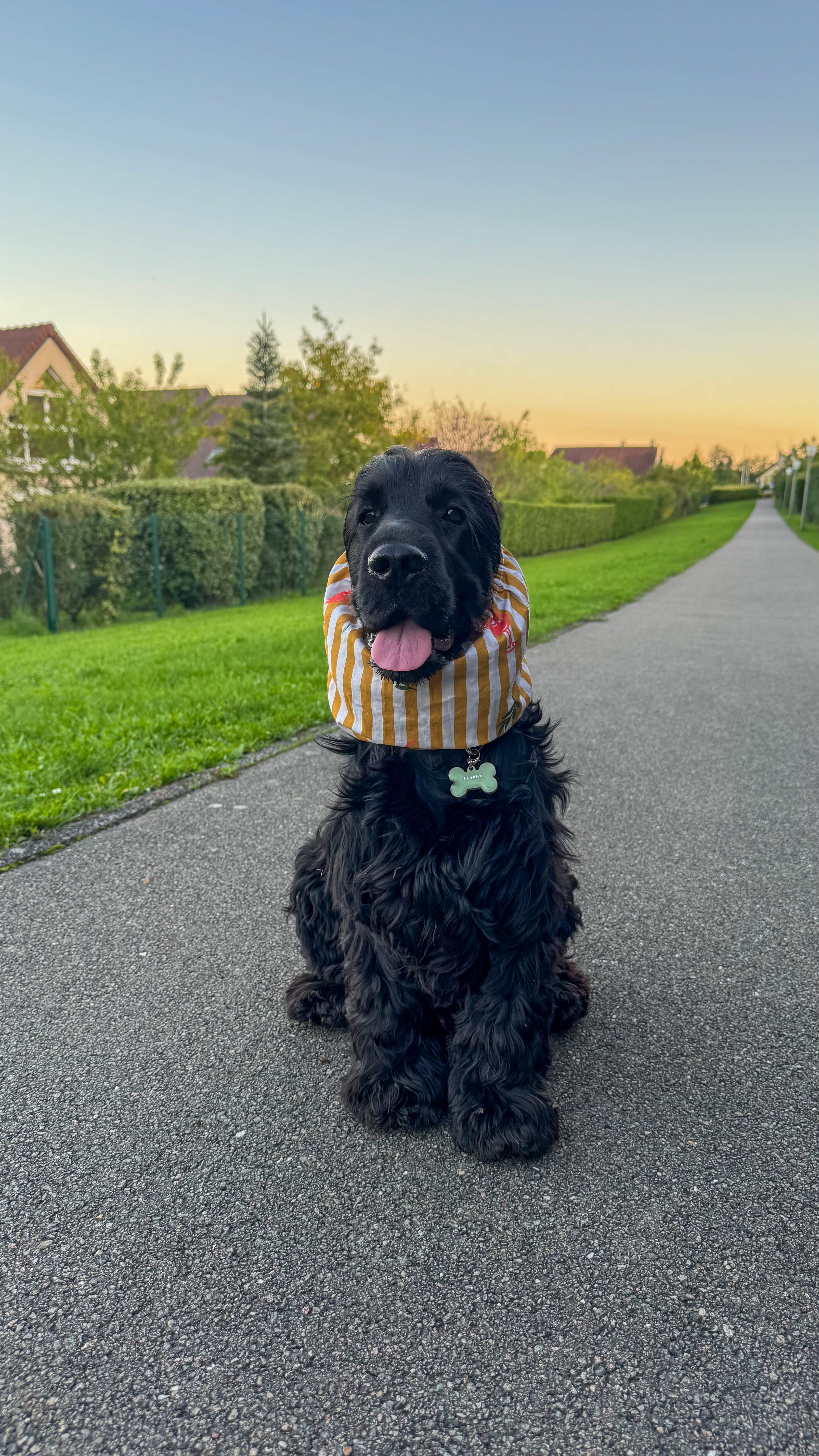 Snood en coton spritz time