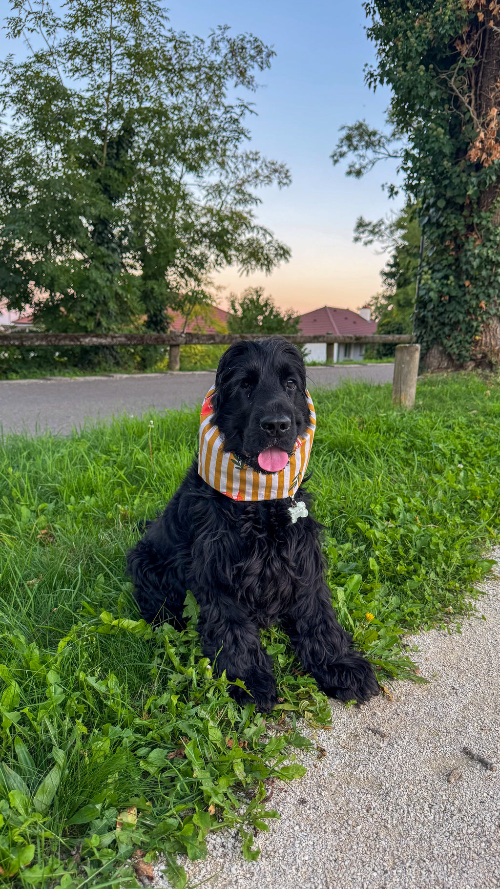 Snood en coton spritz time