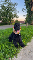 Snood en coton spritz time