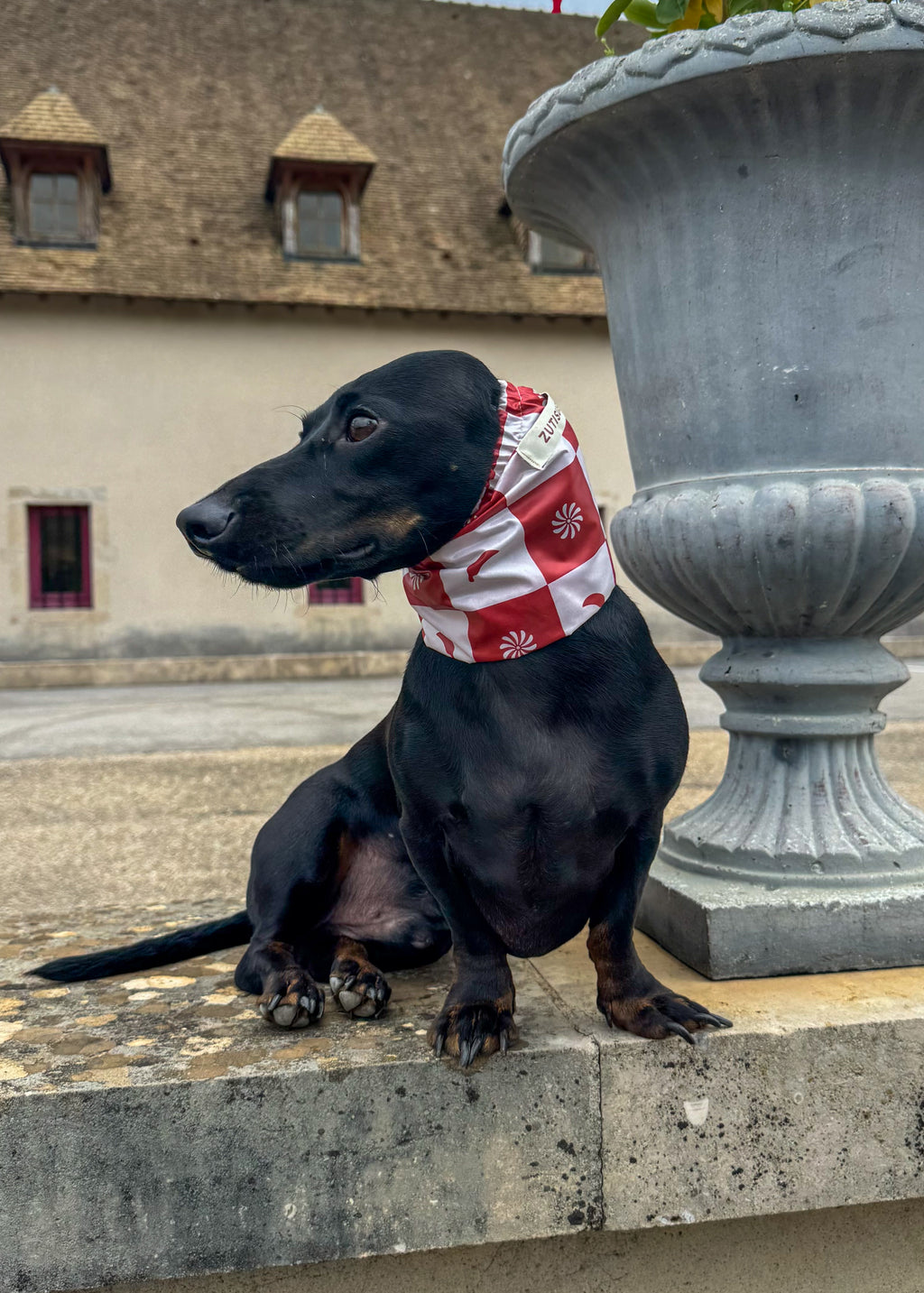Snood imperméable pimenté & solaire
