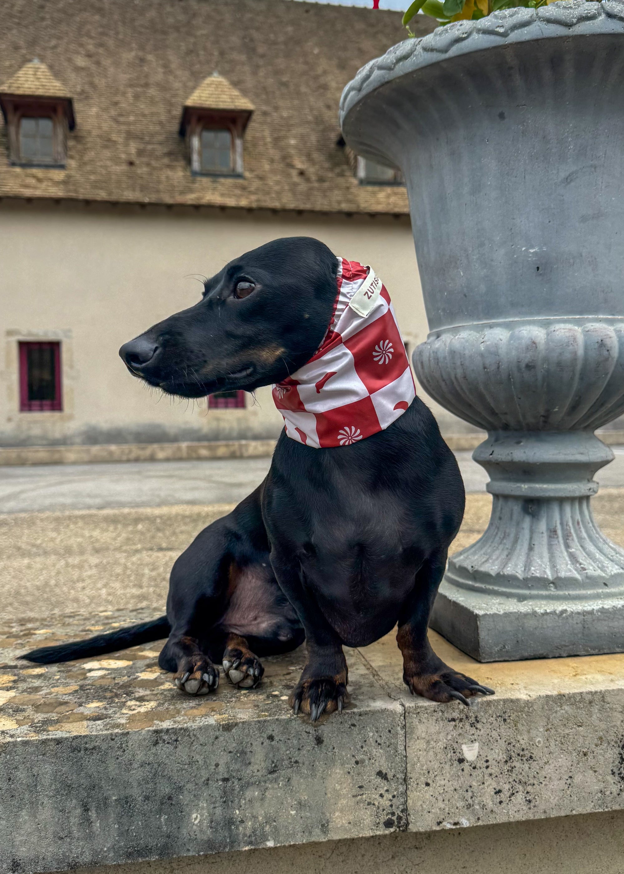 Snood imperméable pimenté & solaire