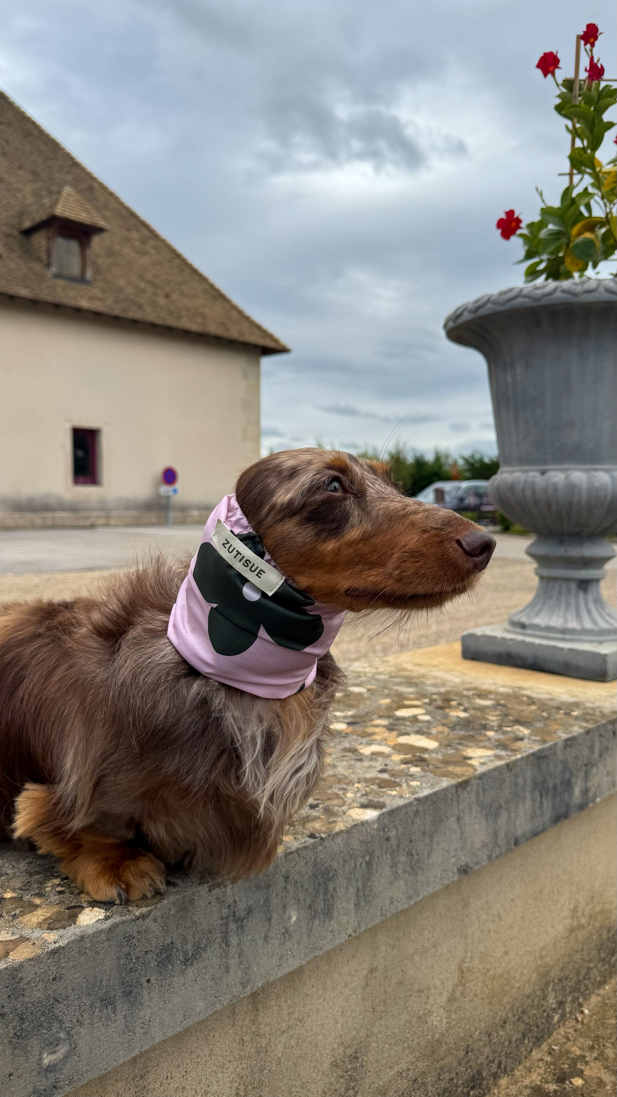 Snood imperméable fleuri