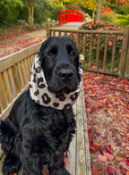 Snood imperméable - Léopard