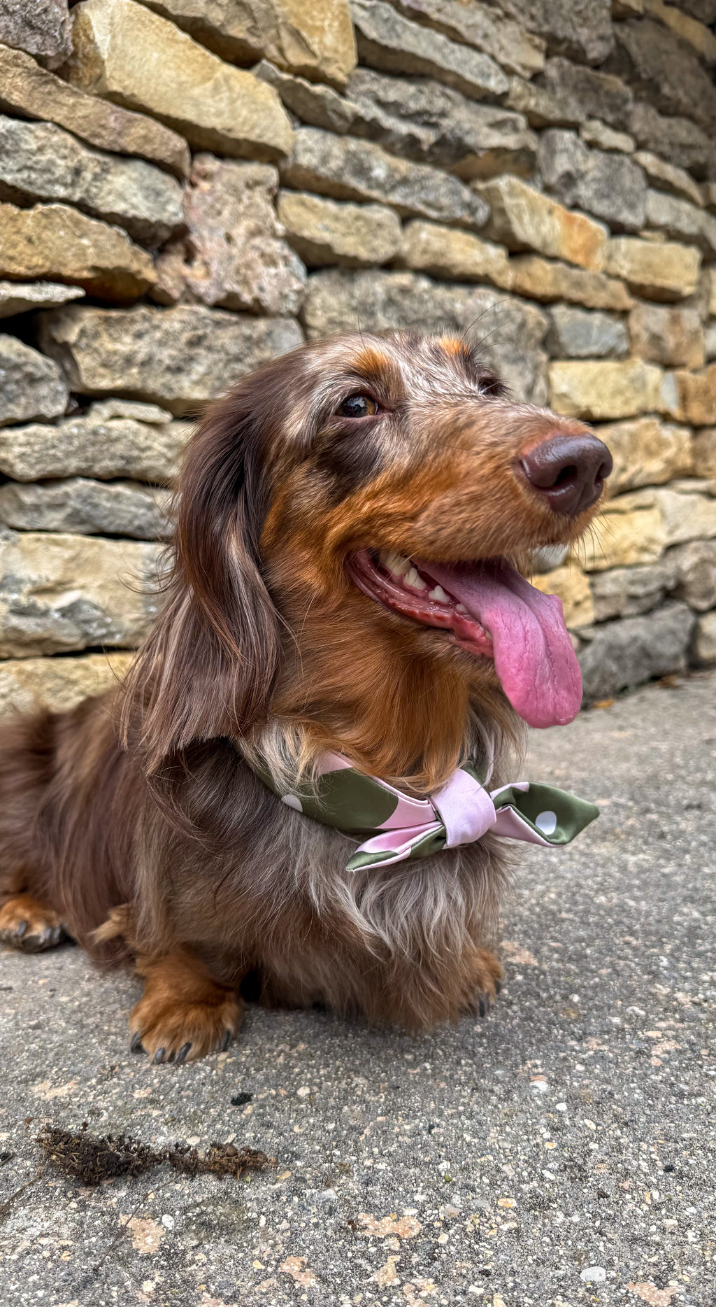 Silky Fleuri