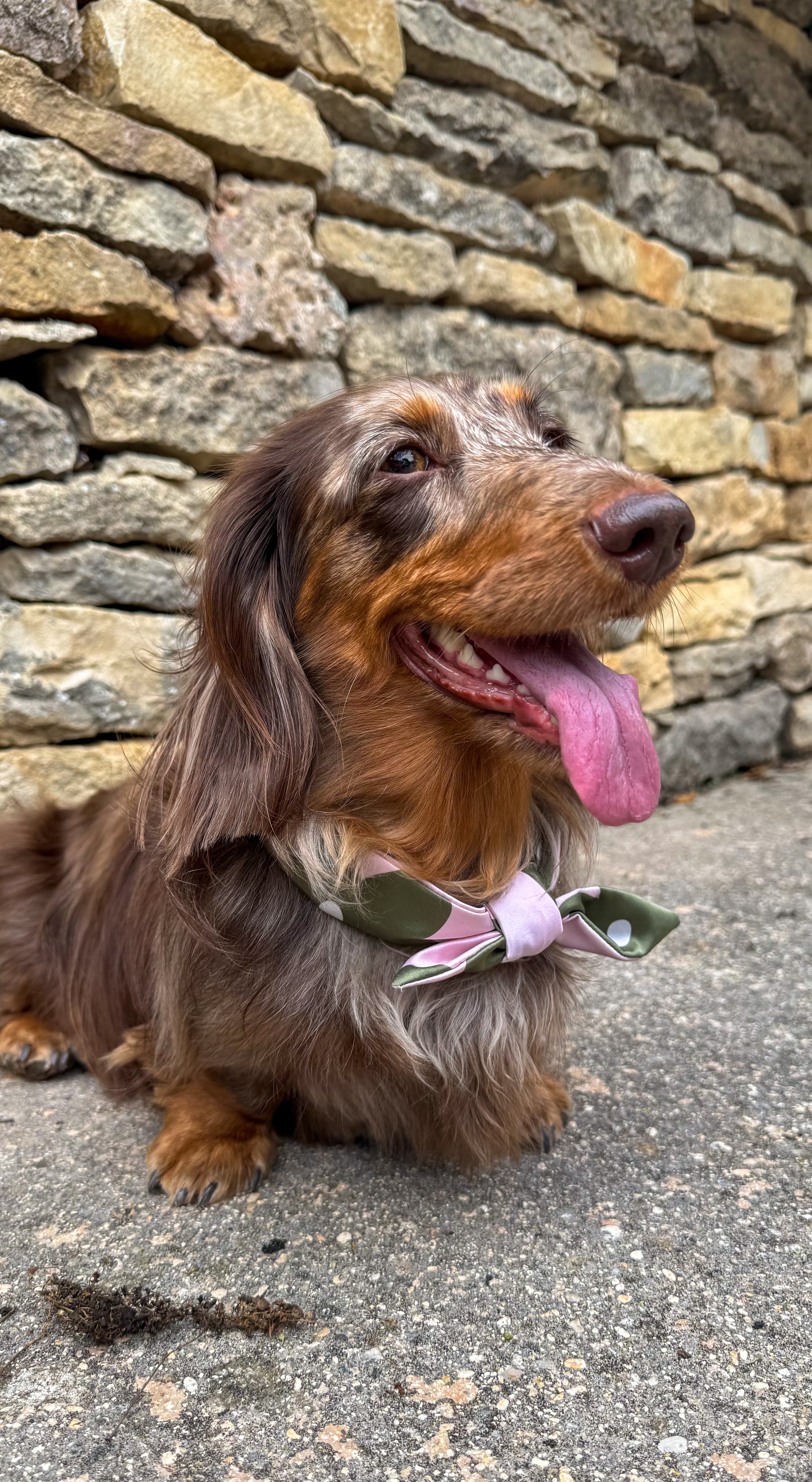 Silky Fleuri