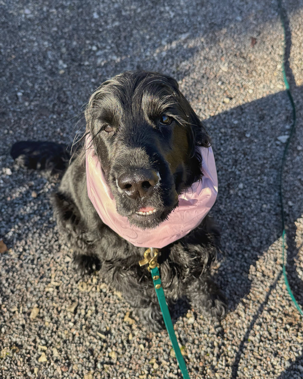 Snood imperméable rose