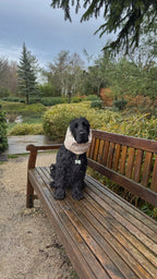 Snood imperméable poudré & fleuri