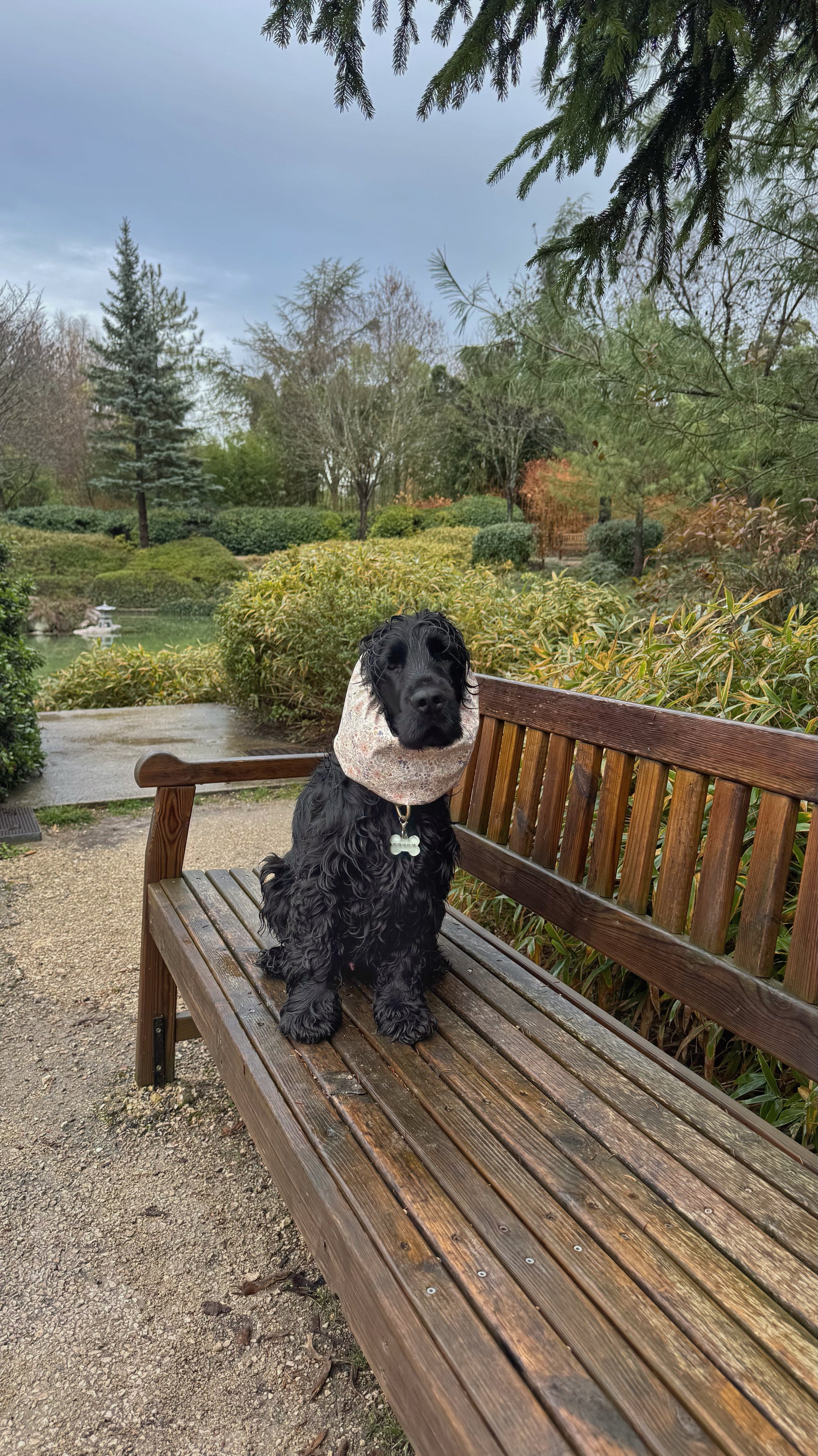 Snood imperméable poudré & fleuri