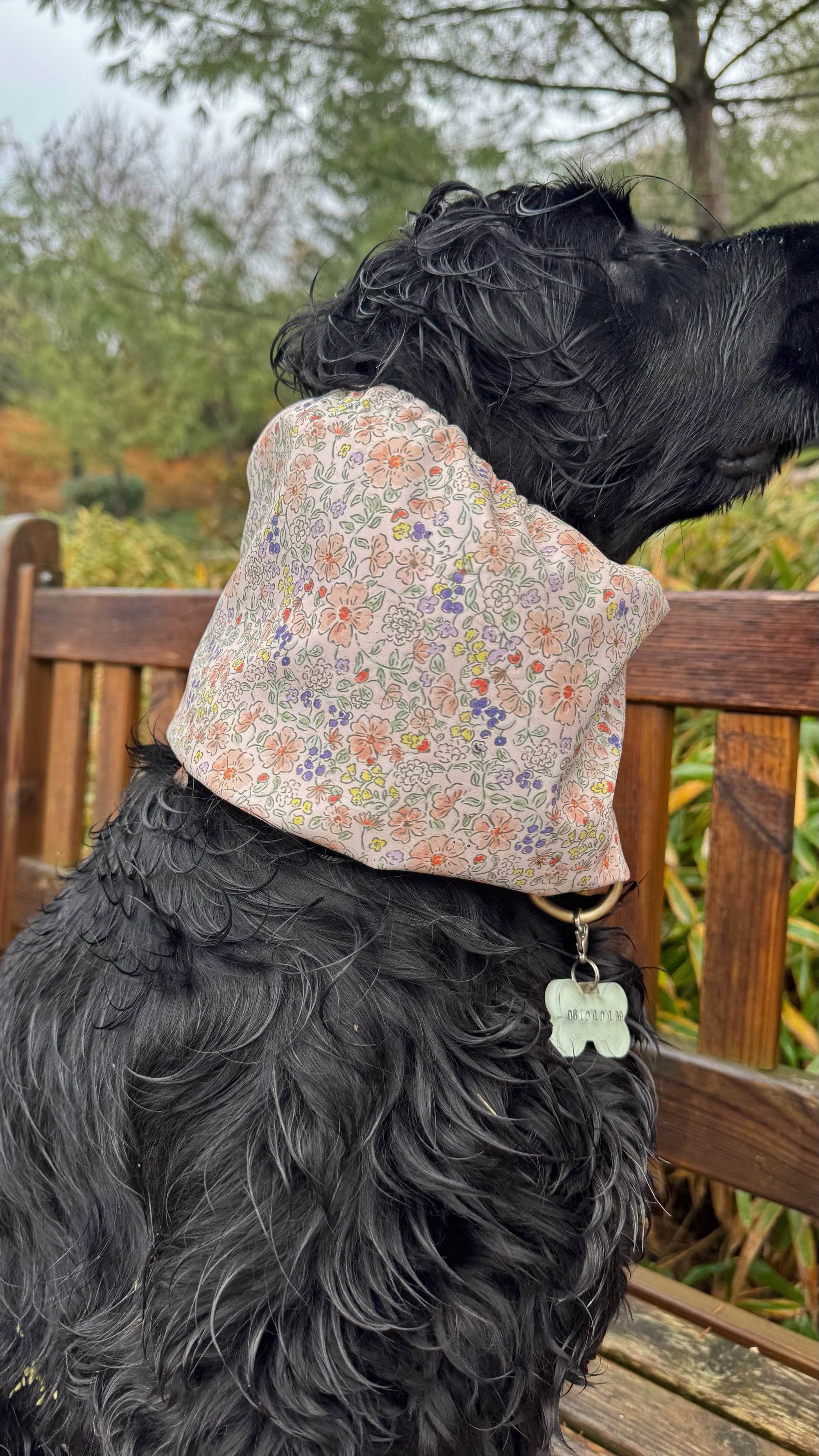 Snood imperméable poudré & fleuri