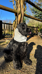 Snood imperméable réfléchissant & réversible