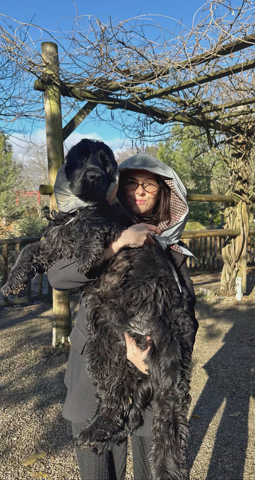 Capuche Réfléchissante, Imperméable & Réversible