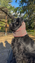 Snood imperméable réfléchissant & réversible