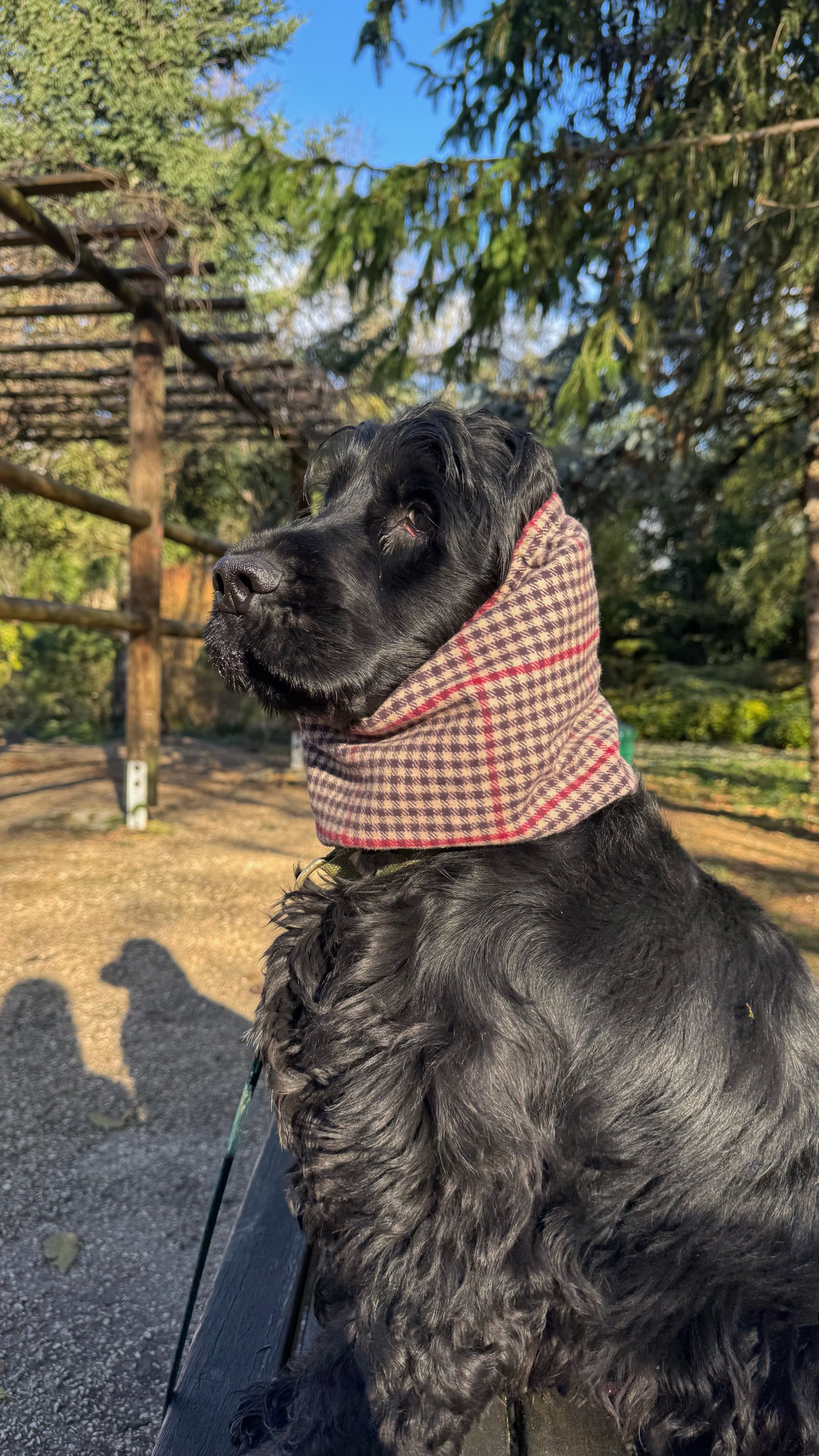 Snood imperméable réfléchissant & réversible