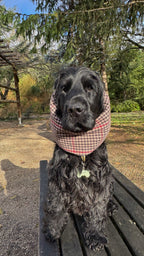 Snood imperméable réfléchissant & réversible