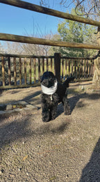 Snood imperméable réfléchissant & réversible