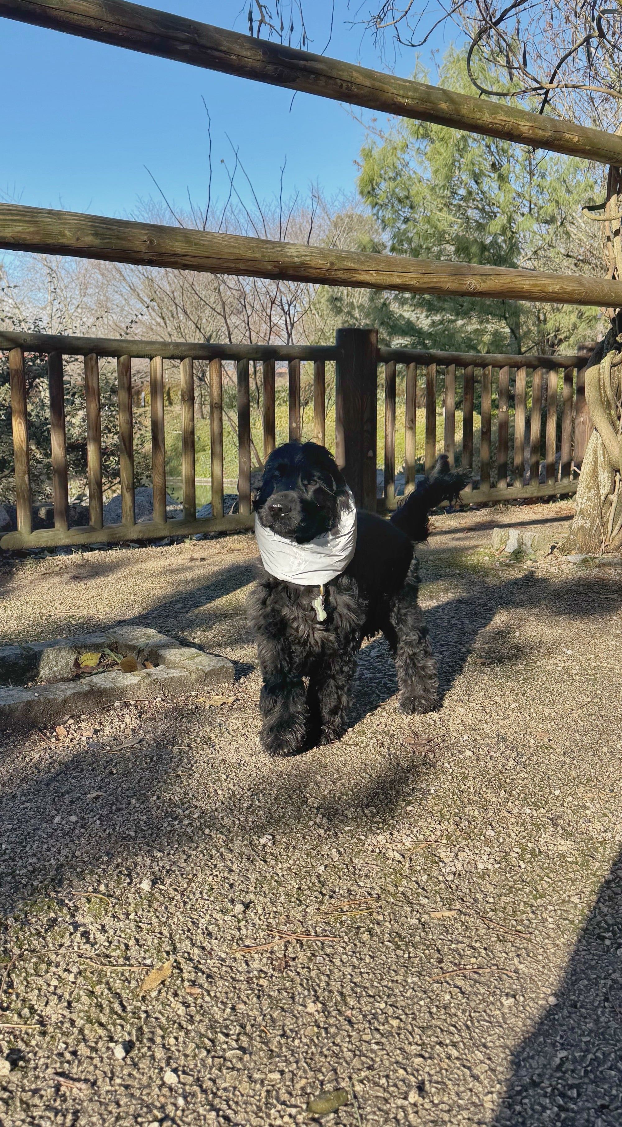 Snood imperméable réfléchissant & réversible