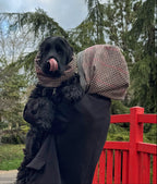 Capuche Réfléchissante, Imperméable & Réversible