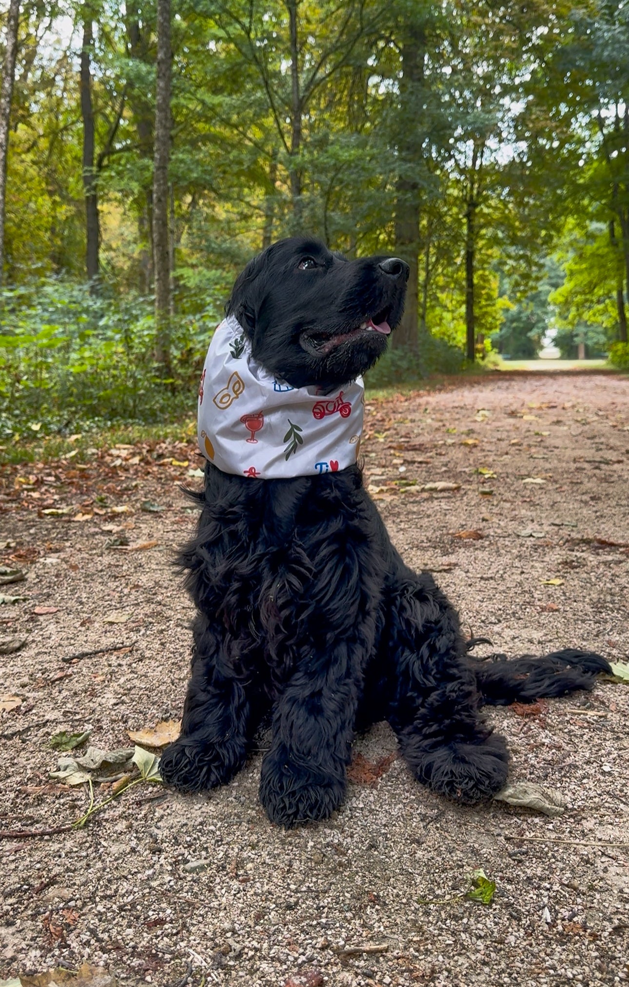 Snood imperméable Dolce Vita