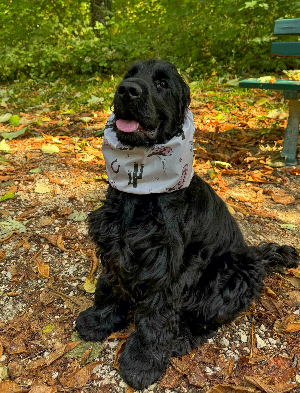 Snood imperméable cowgirl