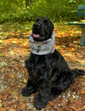 Snood imperméable cowgirl
