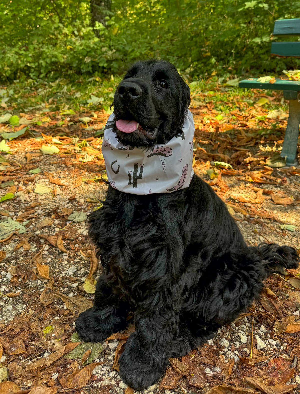 Snood imperméable cowgirl