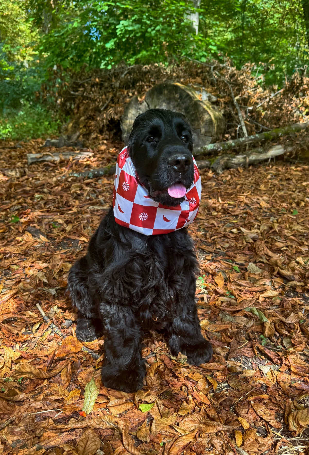 Snood imperméable pimenté & solaire