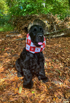 Snood imperméable pimenté & solaire