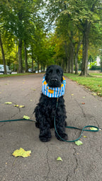 Snood imperméable citronné