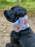 Snood imperméable Dolce Vita