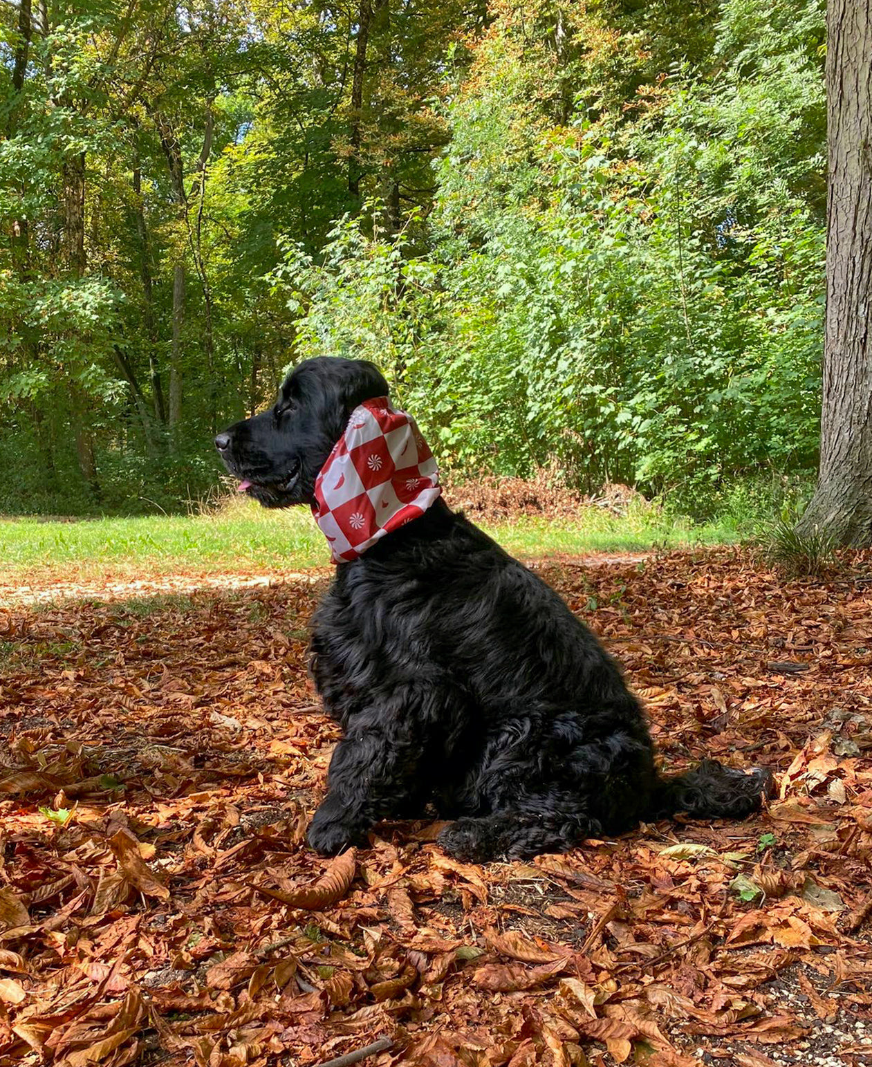 Snood imperméable pimenté & solaire
