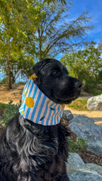 Snood en coton citronné