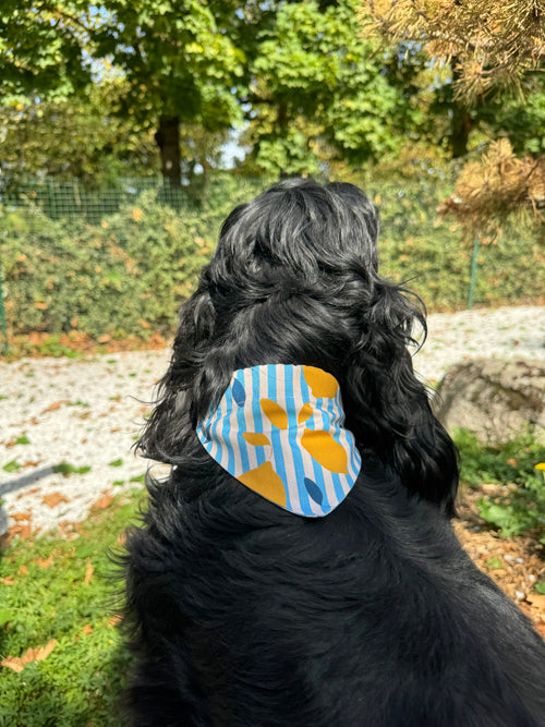 Bandana citronné