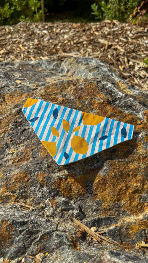 Bandana citronné