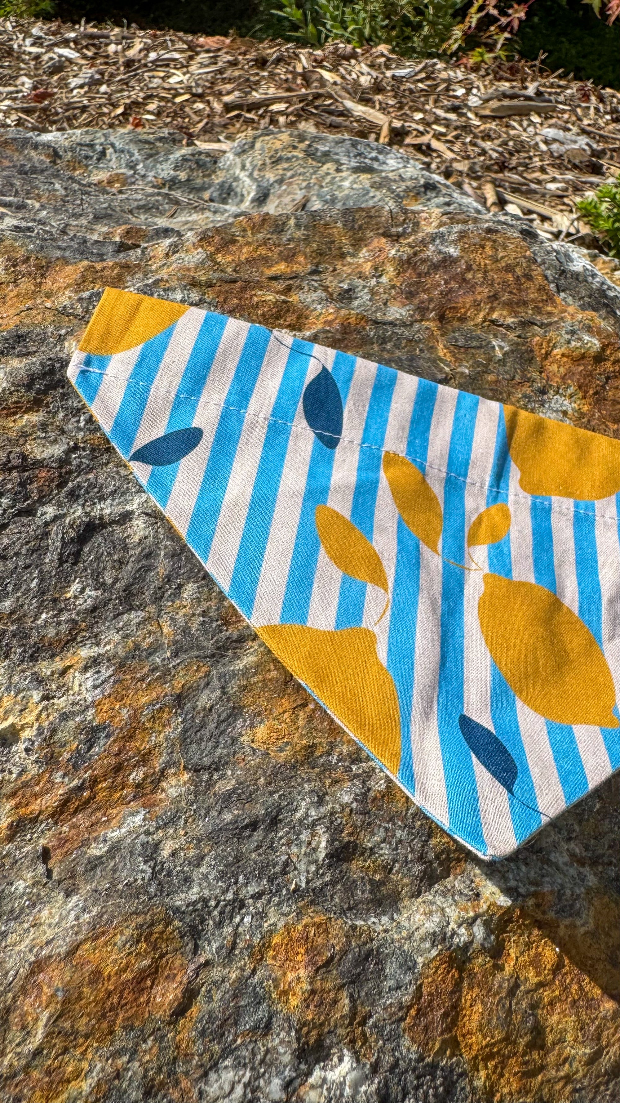 Bandana citronné