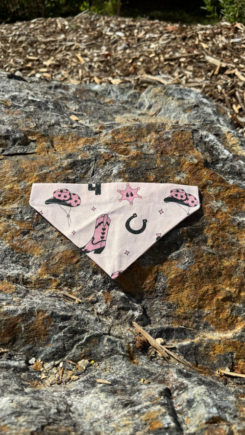 Bandana cowgirl
