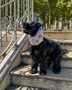 Snood imperméable Dolce Vita