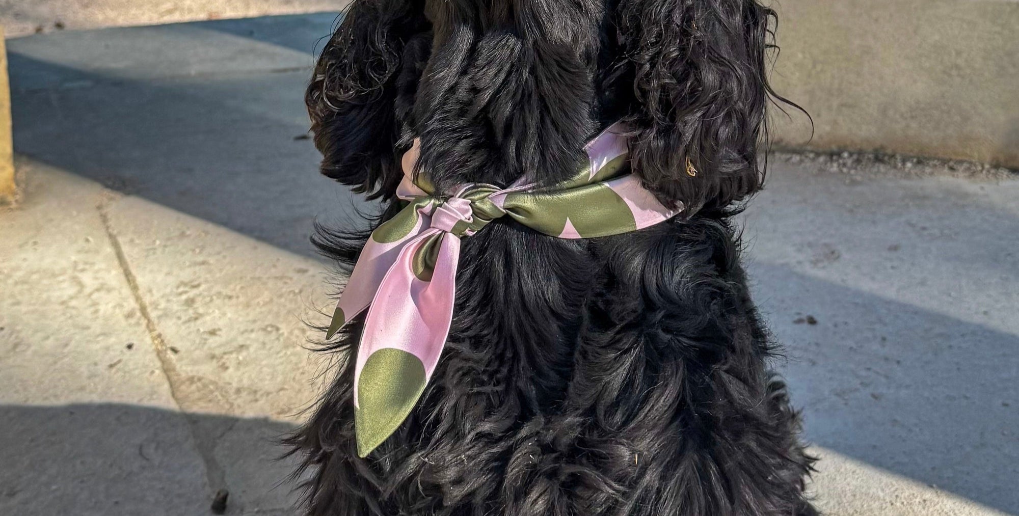 Silky Fleuri
