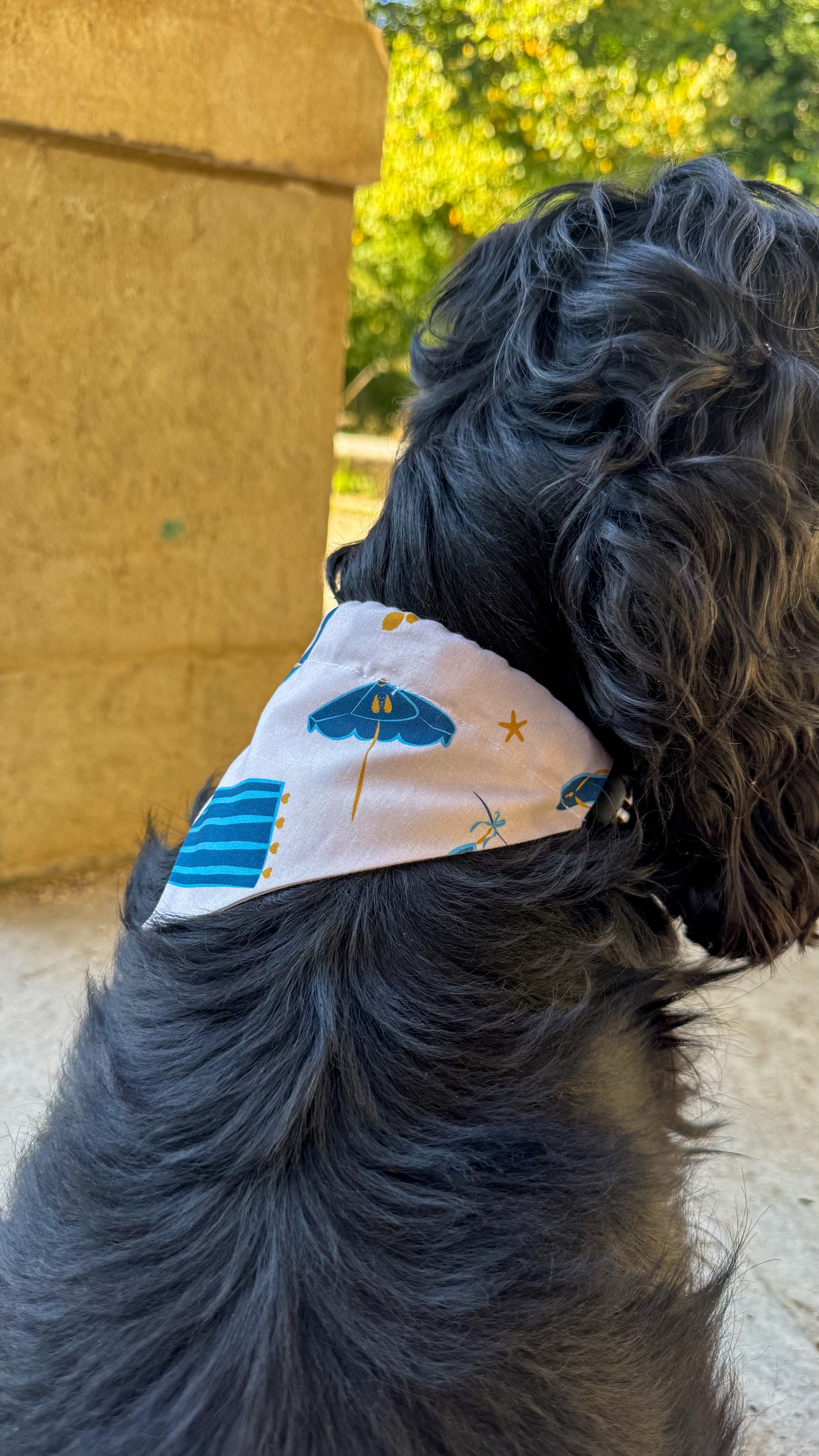 Bandana French Riviera