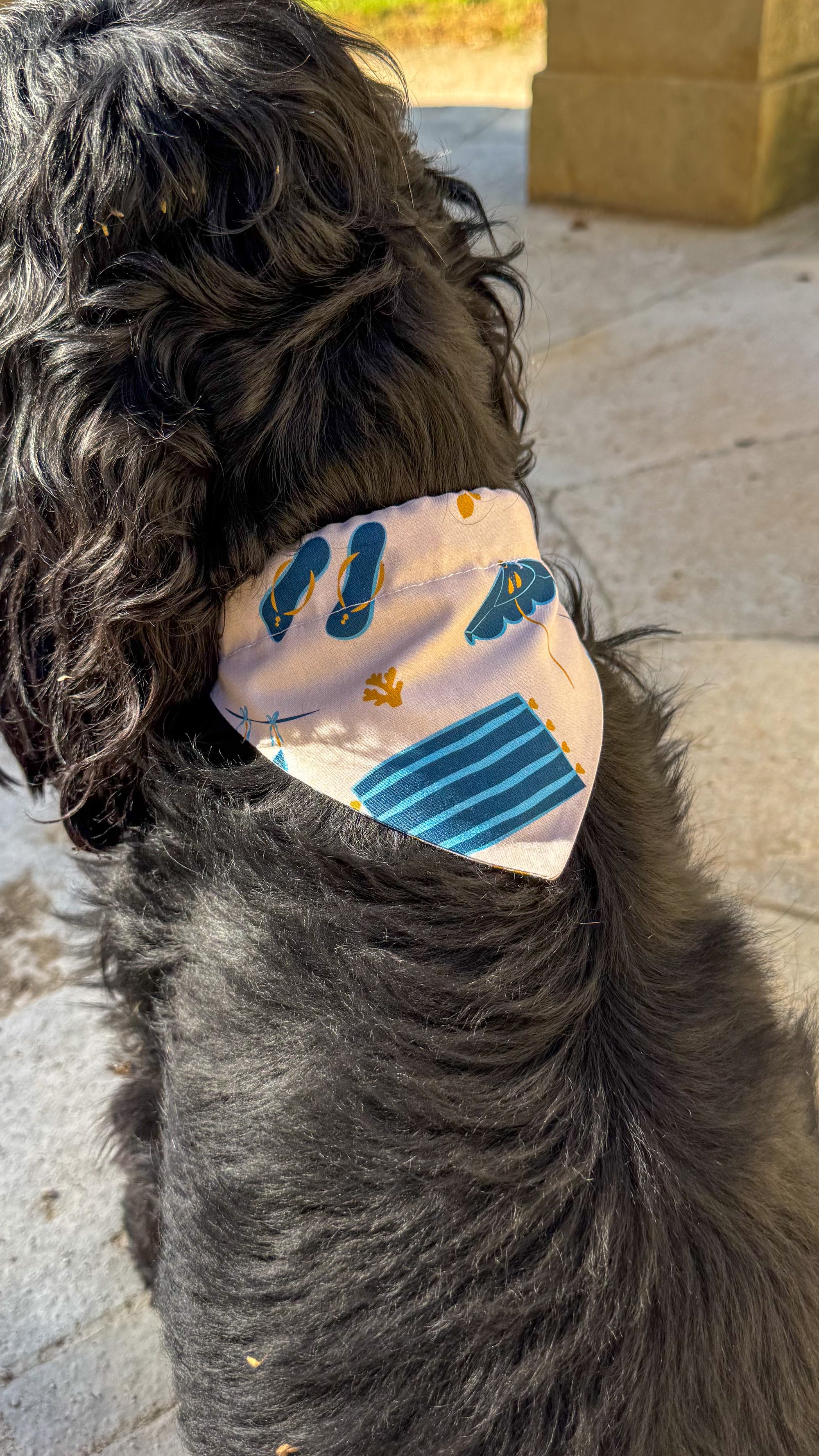 Bandana French Riviera