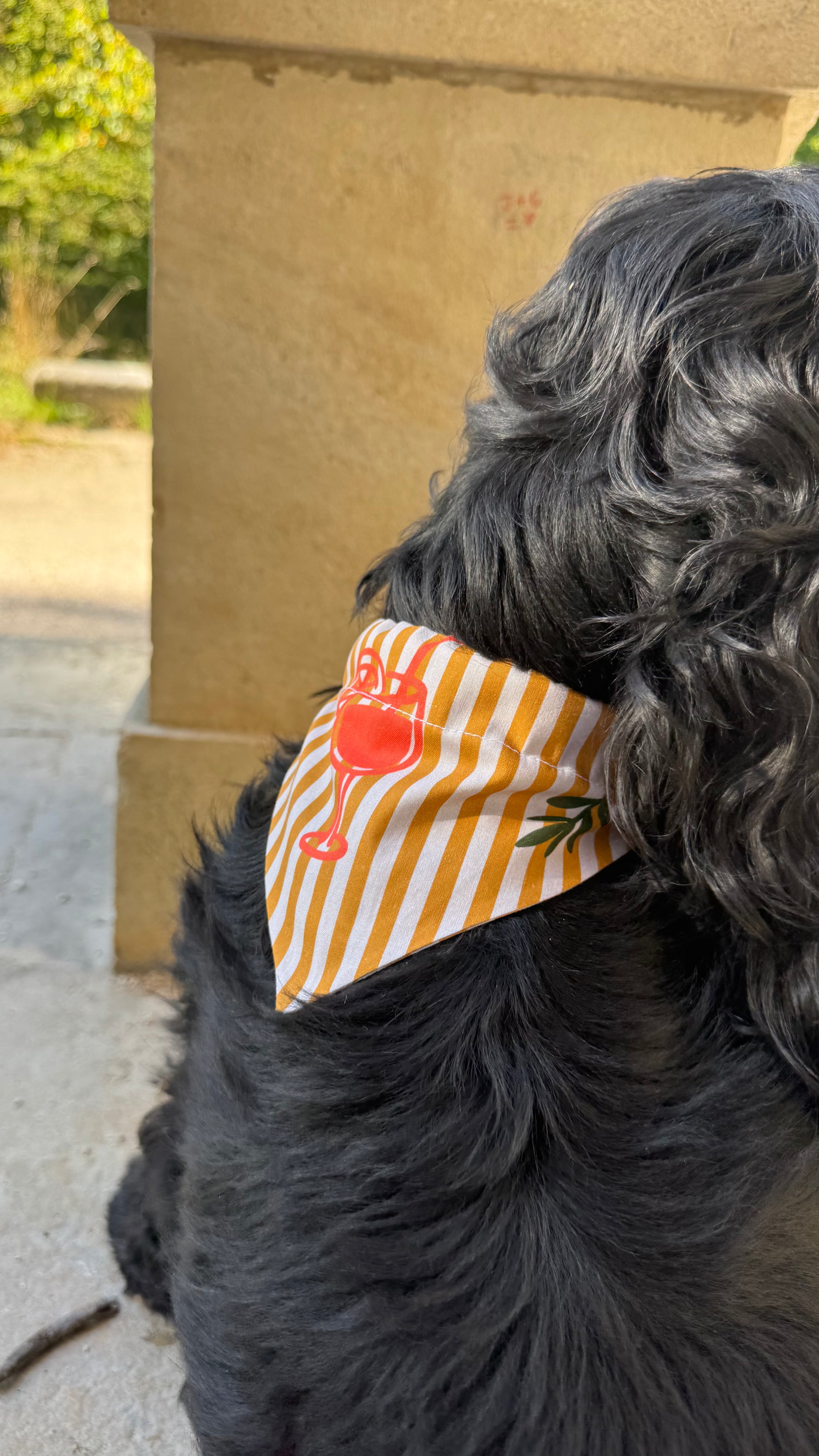 Bandana rayé sptiz time