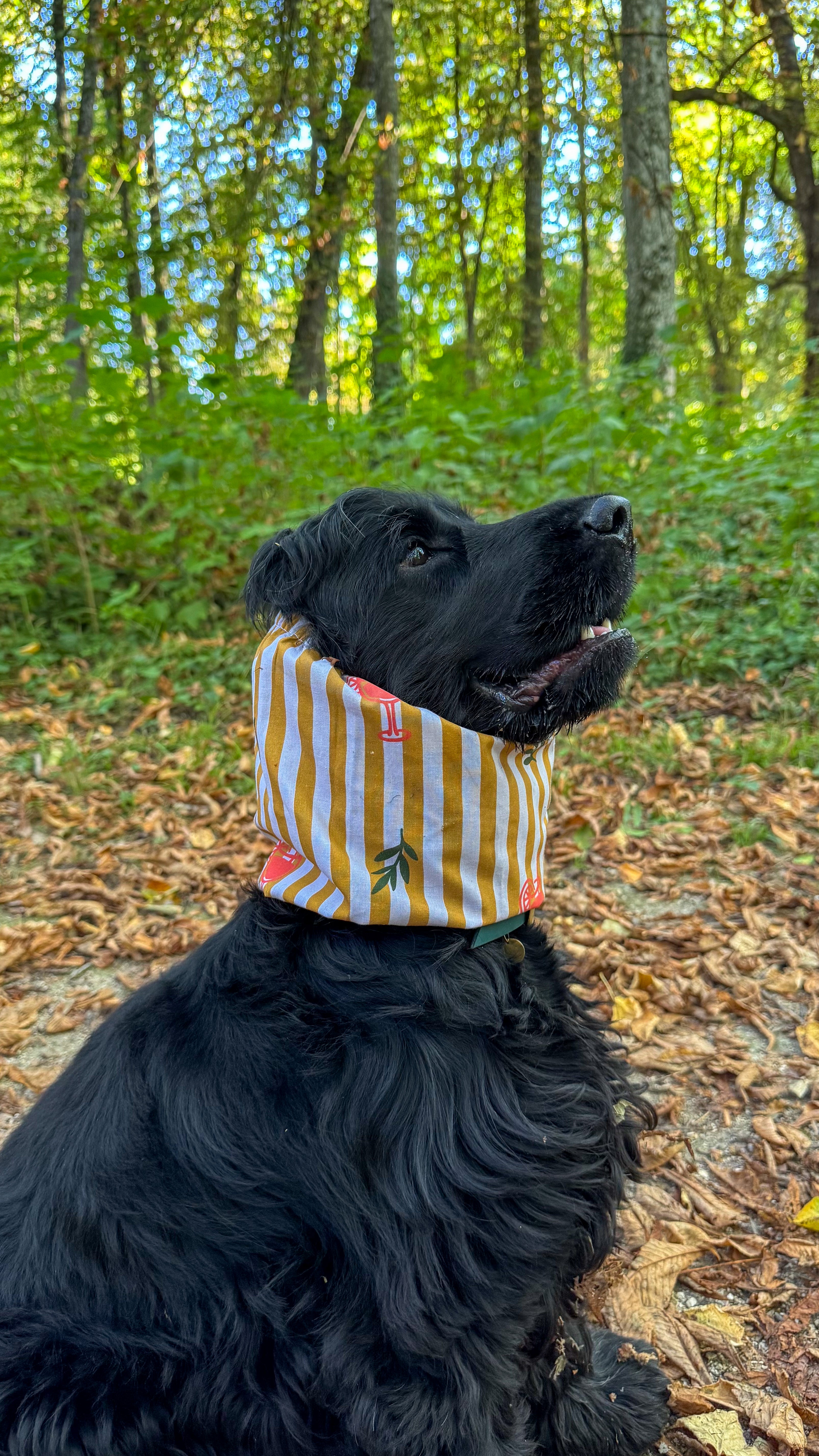 Snood en coton spritz time