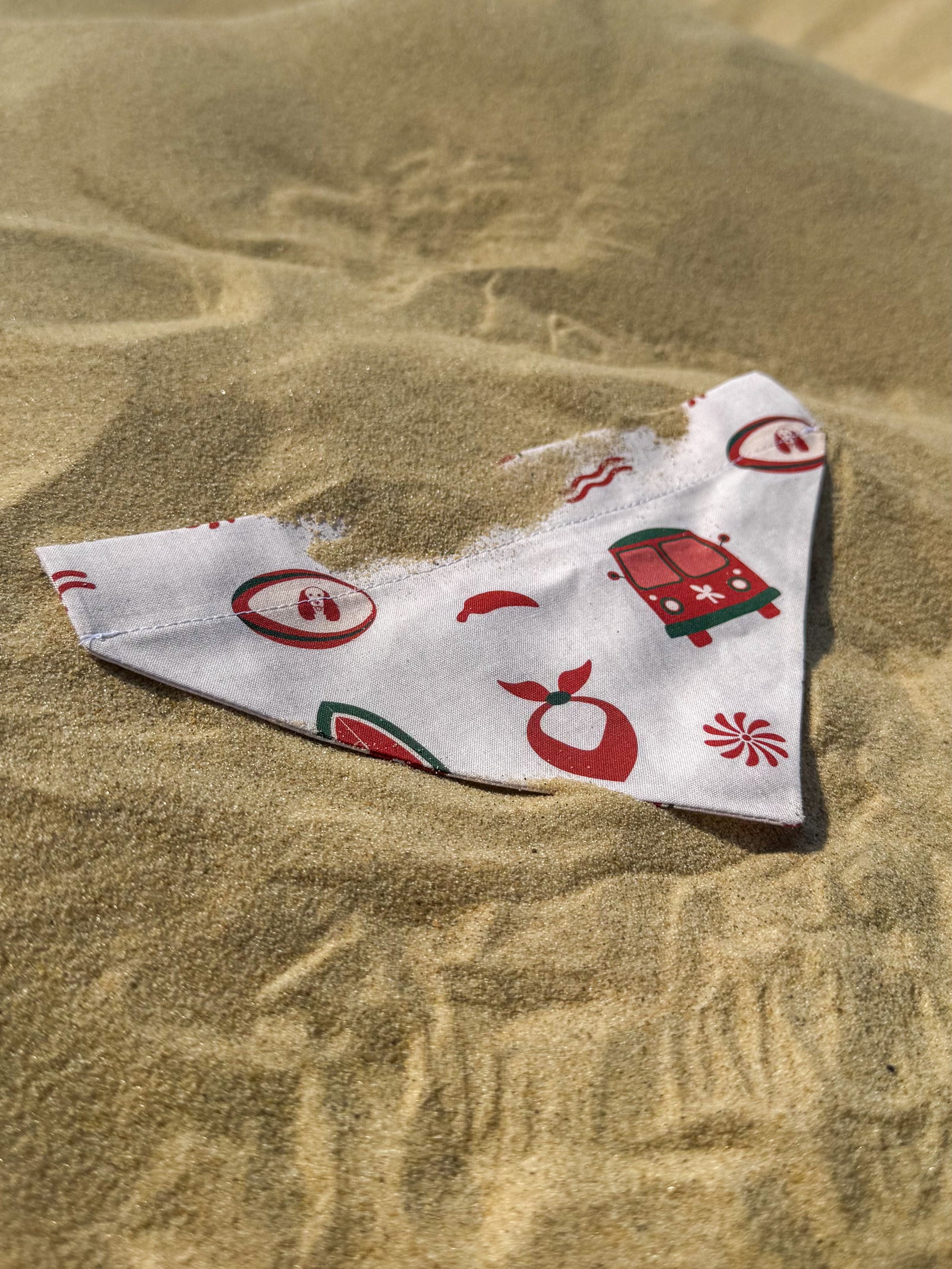 Bandana SouthWest