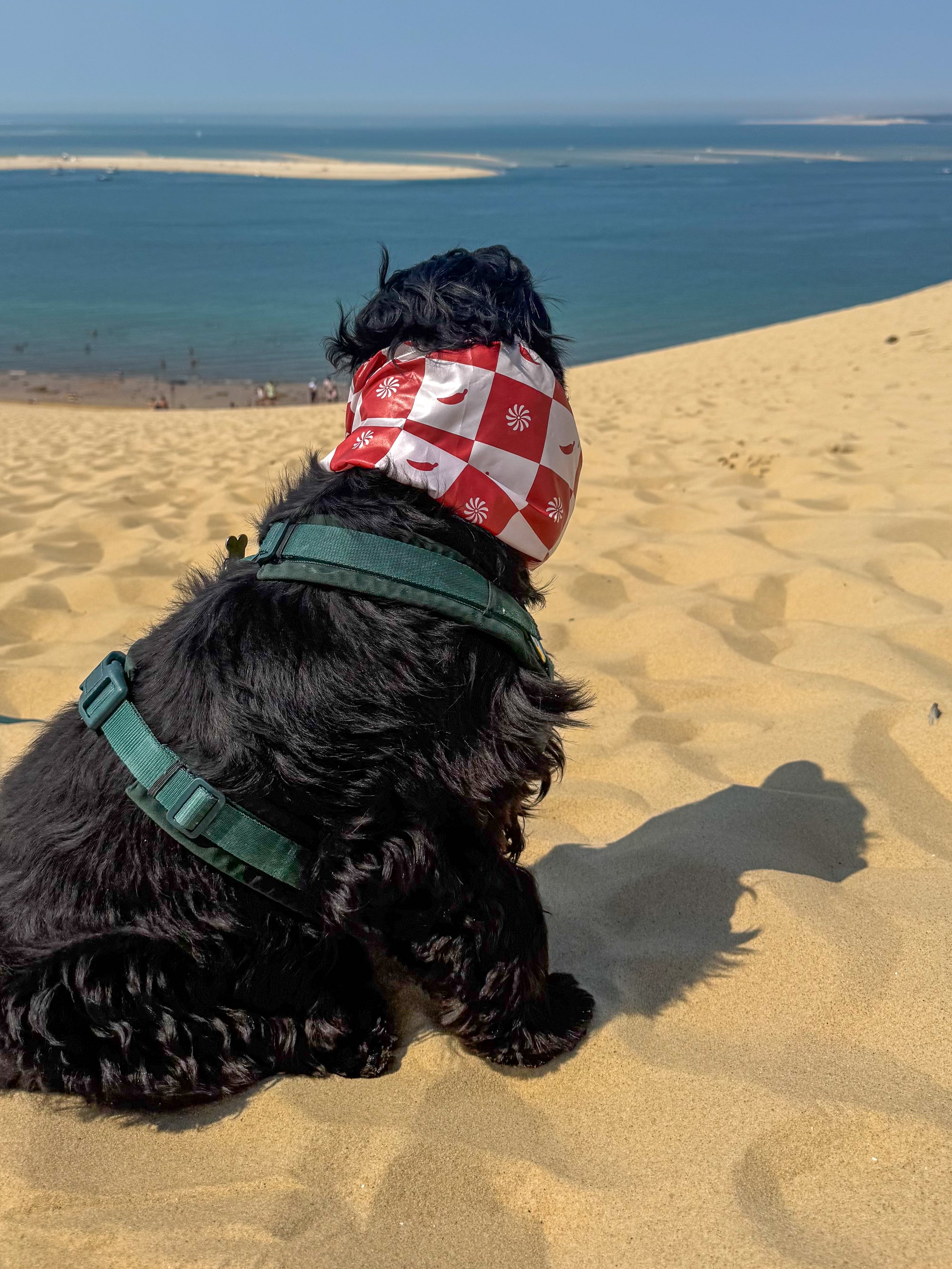 Snood imperméable pimenté & solaire