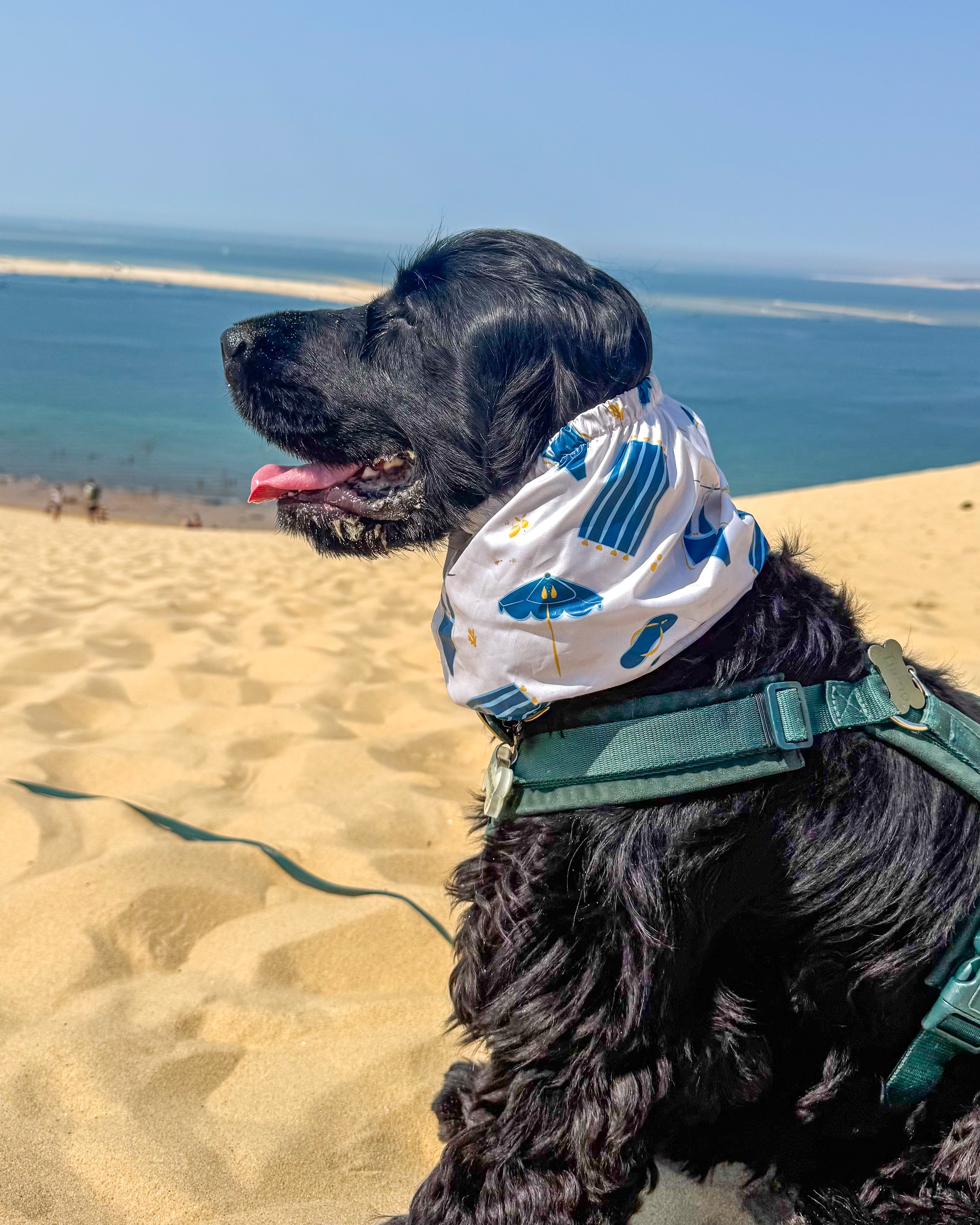 Snood imperméable French Riviera