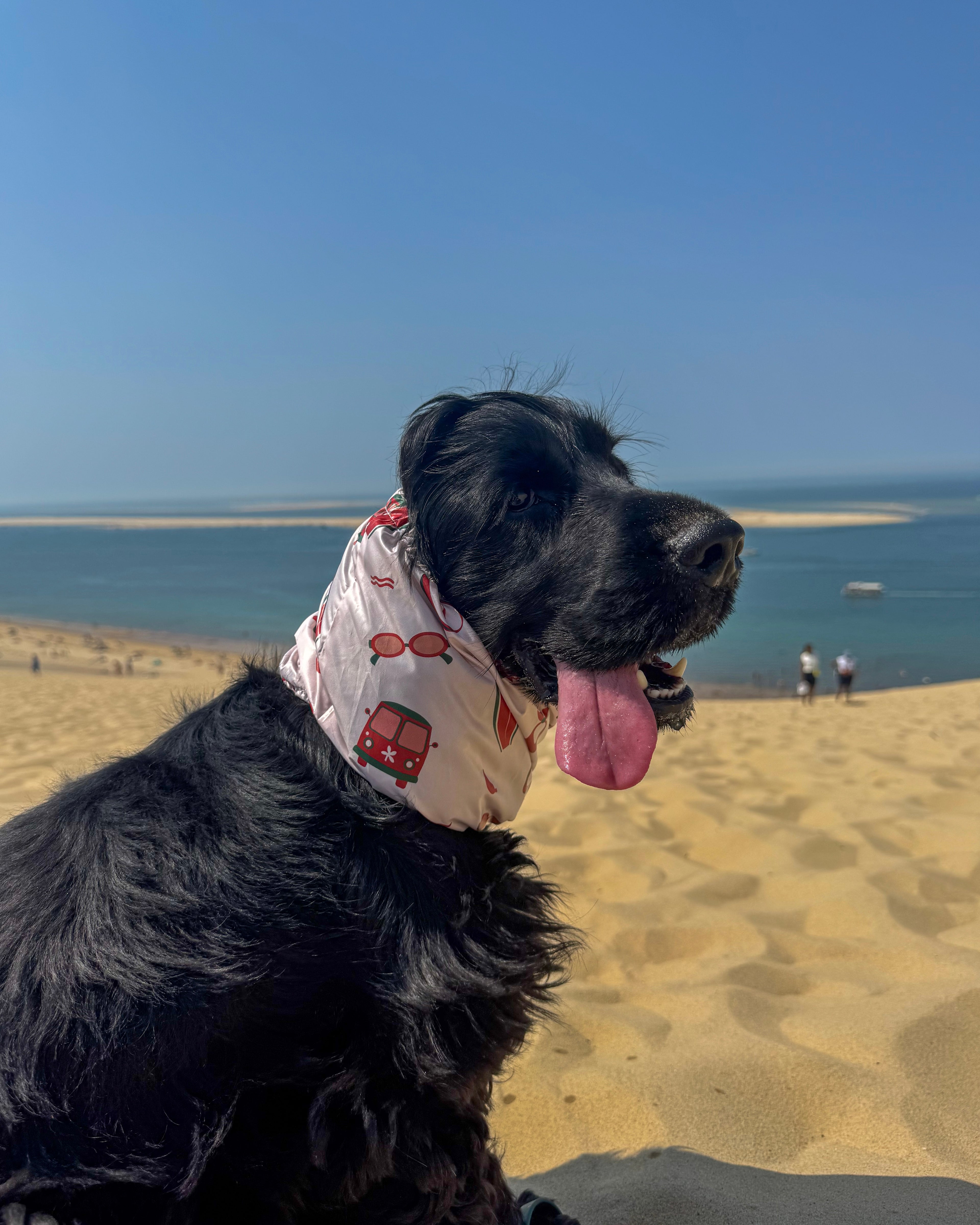 Snood imperméable Southwest