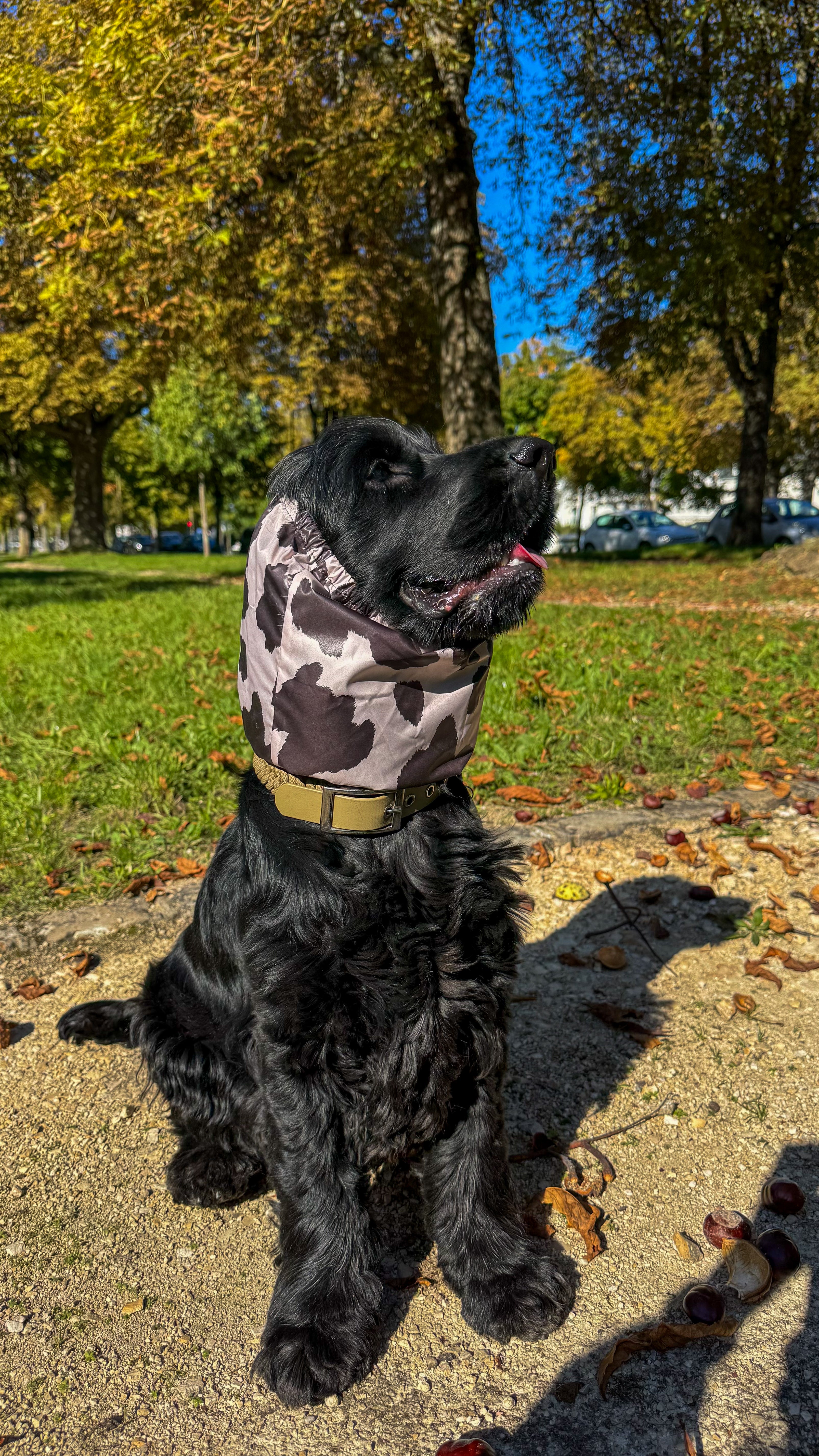 Snood imperméable - Vache