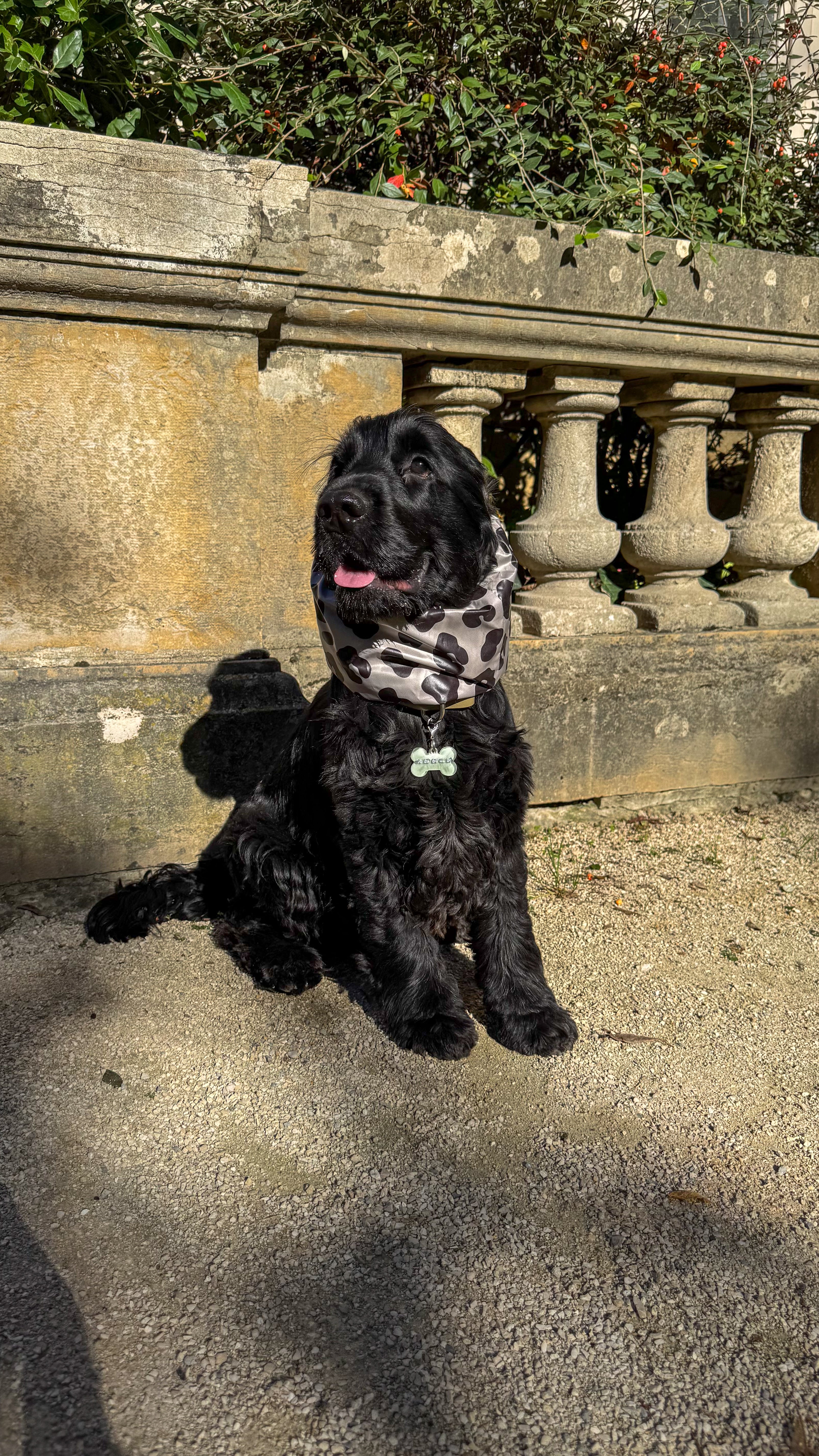 Snood imperméable - Léopard