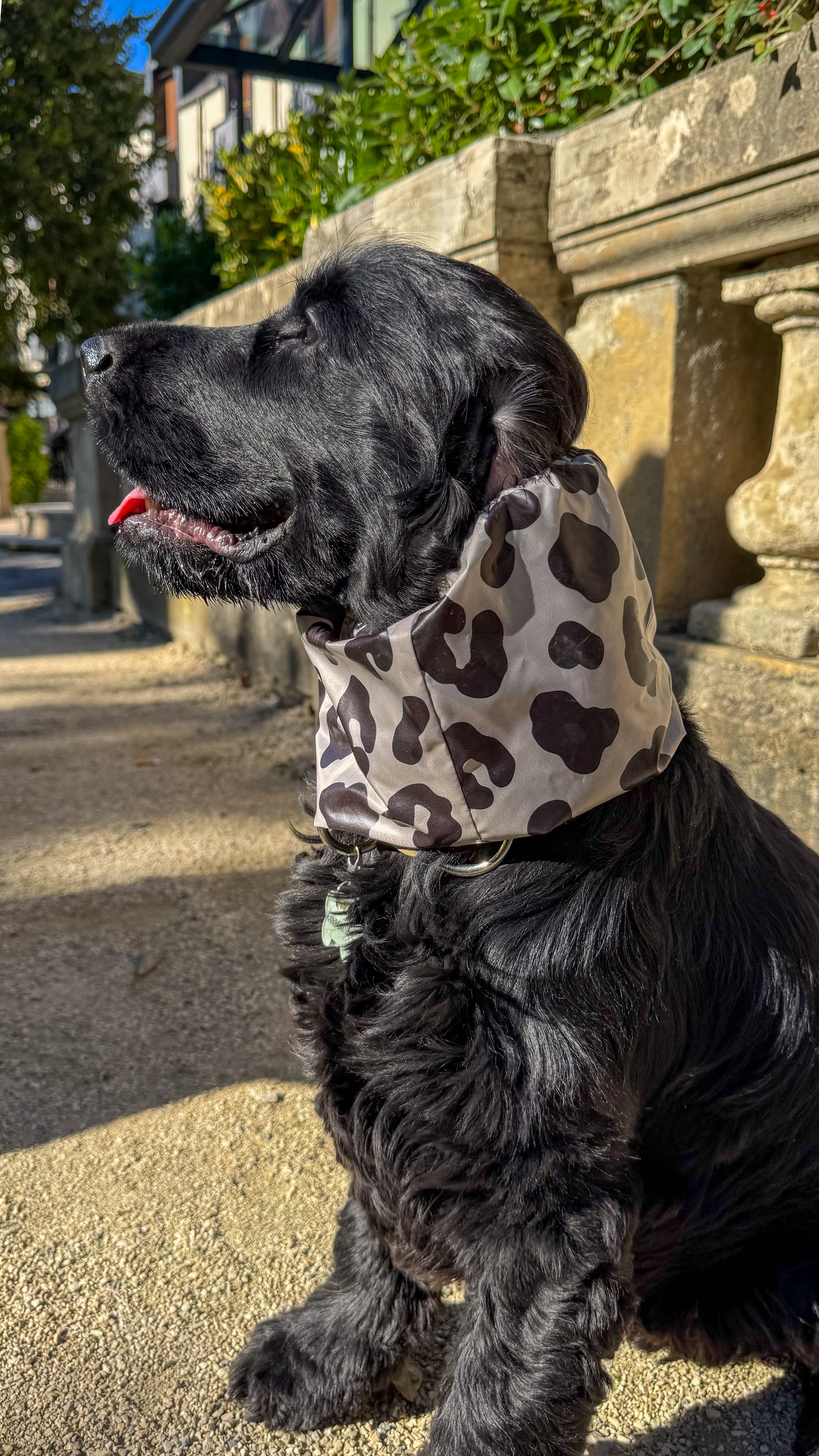 Snood imperméable - Léopard